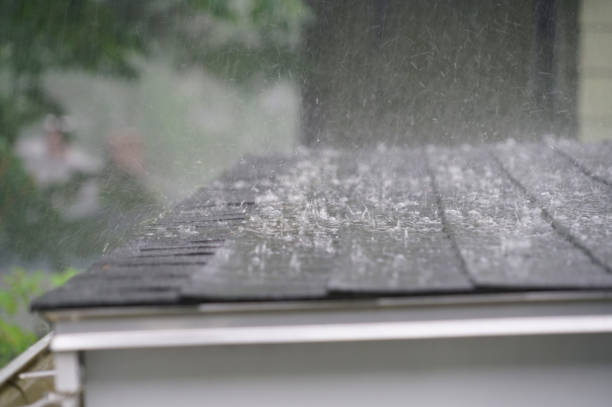 Best Chimney Flashing Repair  in Gardner, IL
